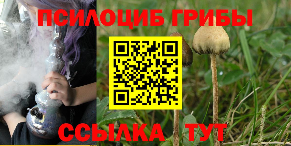 где купить   Псилоцибиновые грибы Cubensis  Псилоцибиновые грибы прущие грибы  Вход с VPN  Ивантеевка 