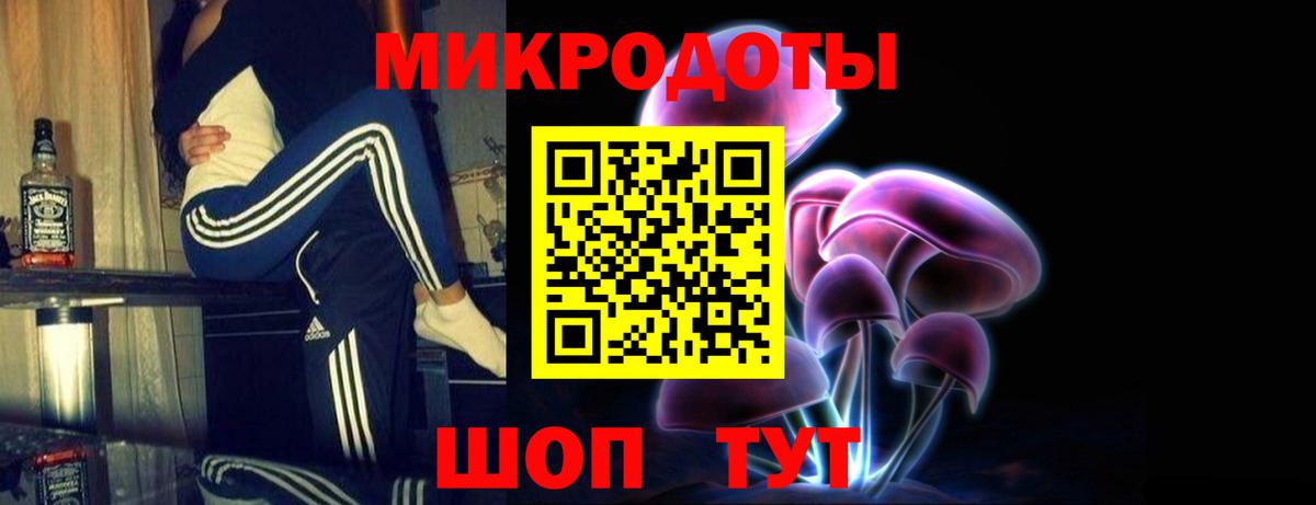 Галлюциногенные грибы Psilocybine cubensis Ивантеевка